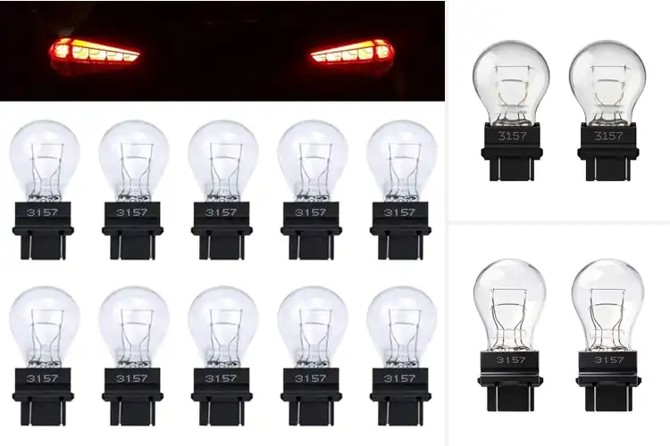 Detailed view of Best American SUV Tail Light Bulbs