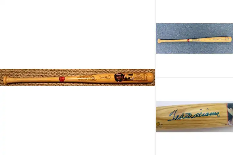 Detailed view of Best Cooperstown Autographed Bat Collection