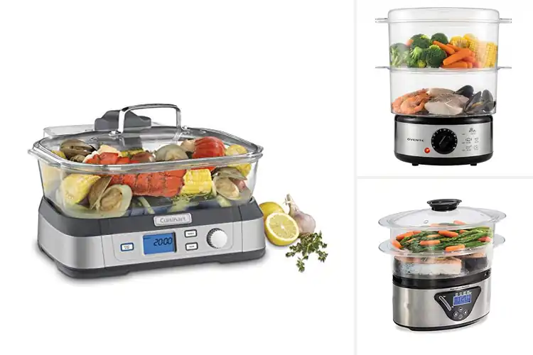 Detailed view of Best Digital Steamers
