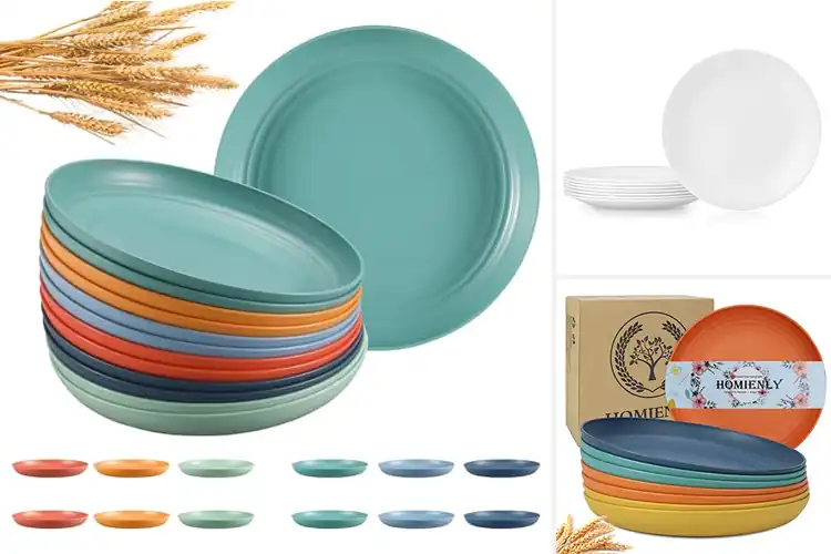 Detailed view of Best Dishwasher Safe Plates