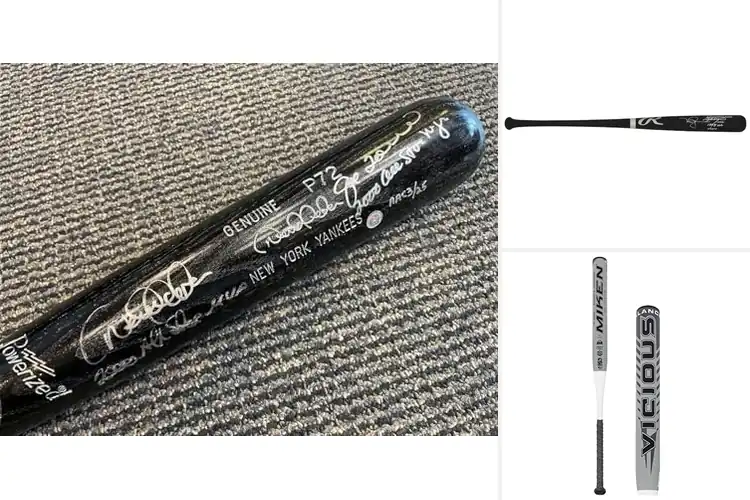Detailed view of Best Dual Signed Bats
