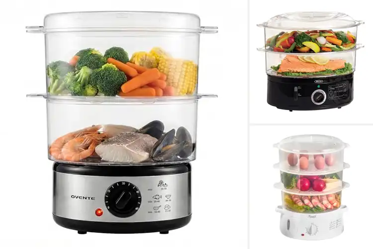 Detailed view of Best Electric Steamers