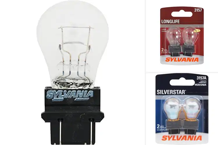Detailed view of Best Halogen 3157 Bulbs