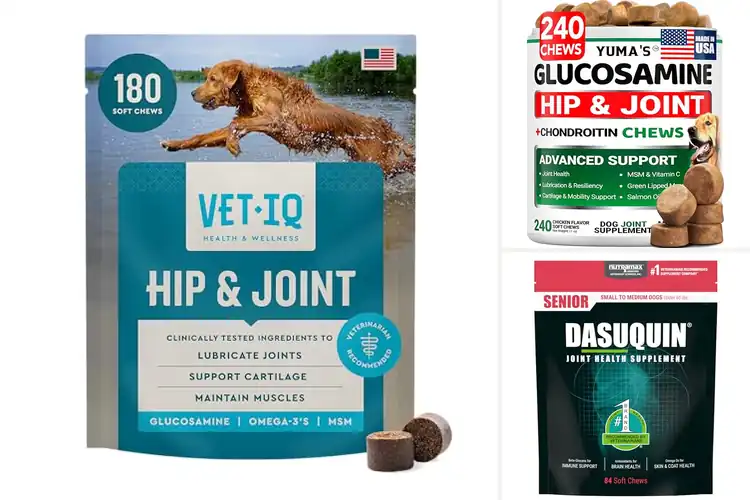 Detailed view of Best Joint Support Chews For Dogs