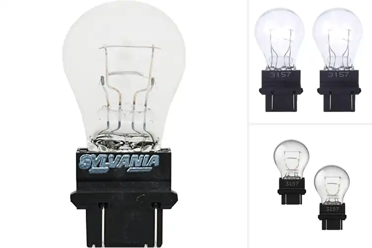 Detailed view of Best Long Life 3157 Halogen Bulbs