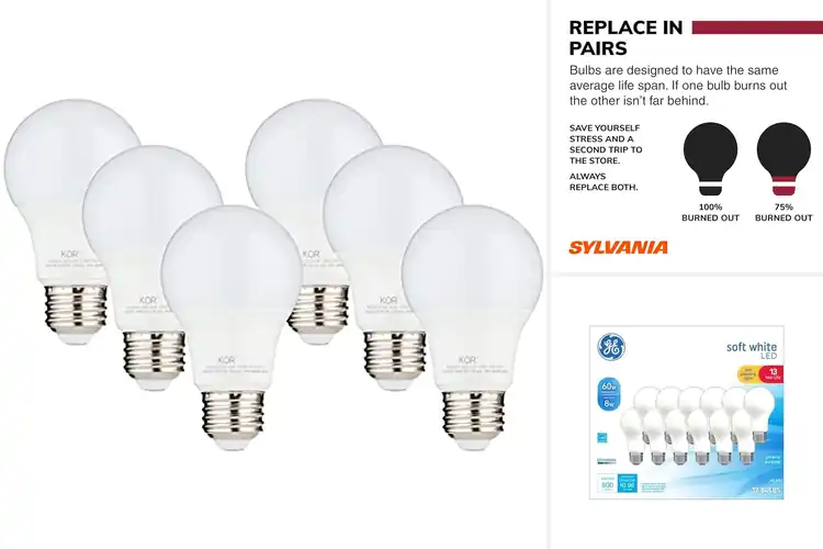 Detailed view of Best Long-Life Bulbs