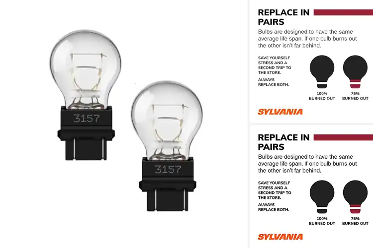 Detailed view of Best Long-Life Tail Light Bulbs