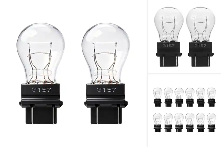Detailed view of Best P27/7W Brake Light Bulbs: Top Picks for Safety & Style