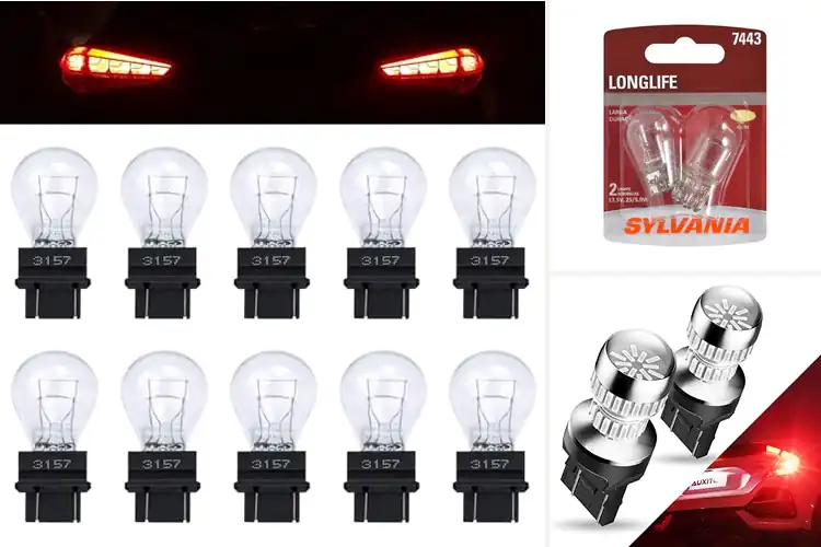 Detailed view of Best Rear Light Bulbs