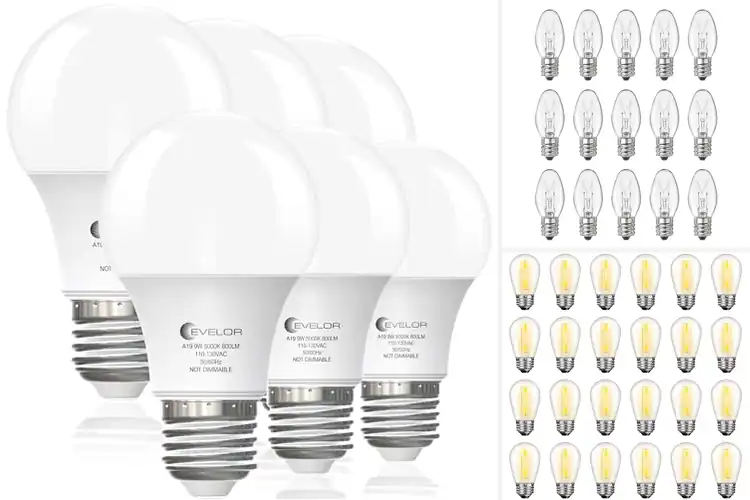 Detailed view of Best Replacement Bulbs