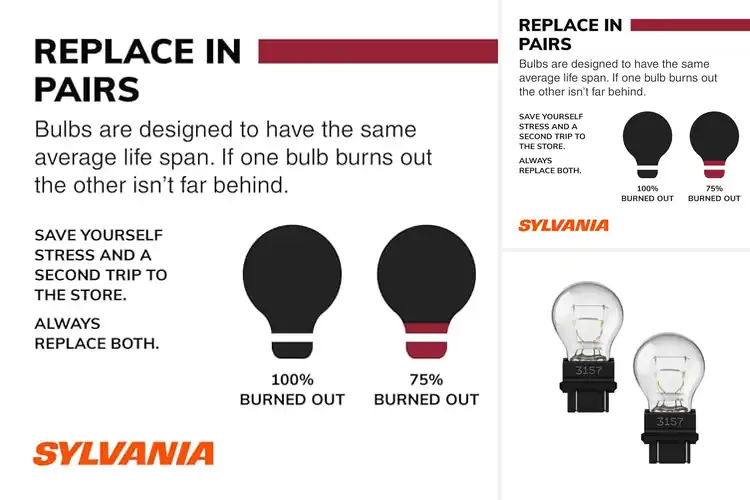 Detailed view of Best Replacement Rear Light Bulbs