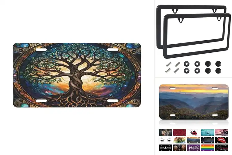 Detailed view of Best Rust Free License Plates