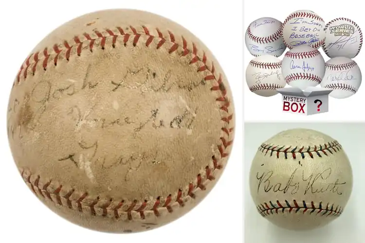 Detailed view of Best Signed Baseballs