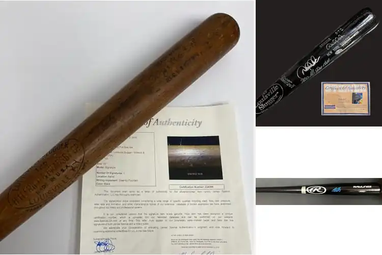Detailed view of Best Signed Bats