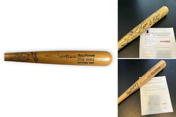 Detailed view of Best Signed Legends Bats