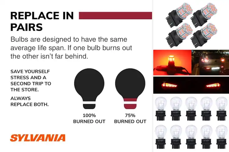Detailed view of Best Tail Light Bulbs for Brighter, Safer Night Driving