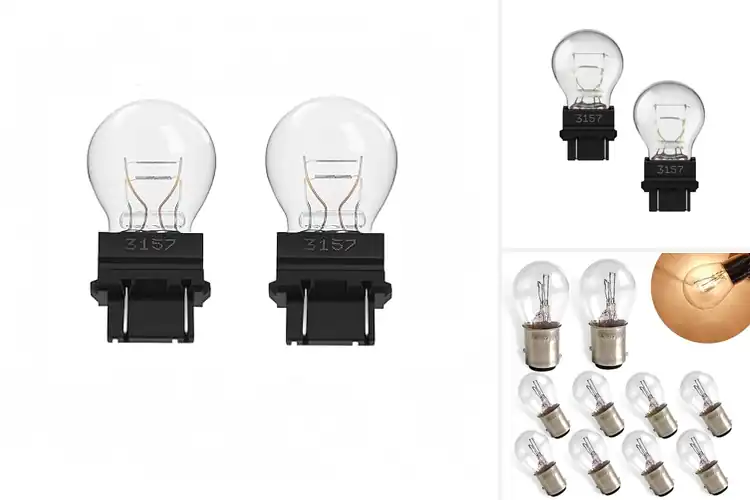 Detailed view of Best Turn Signal Brake Light Bulbs