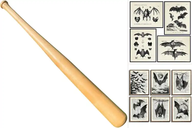 Detailed view of Best Vintage Bats: Timeless Charm Meets Modern Style